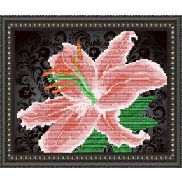 Рисунок на ткани "Лилия на черном"