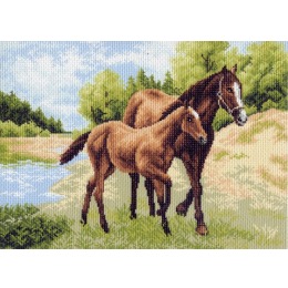 Рисунок на канве "Лошади"