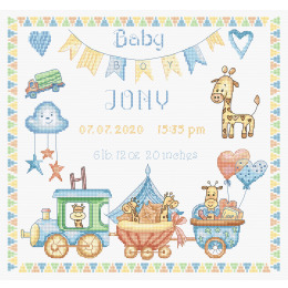 Набор для вышивания крестом "Baby Boy Record"