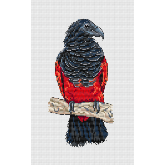 Набор для вышивания крестом «Дракула. Орлиный попугай» 